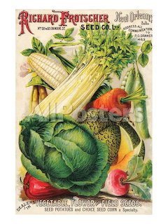 Vintage seed catalog illustration with cabbage, corn, radishes, squash, and assorted vegetables