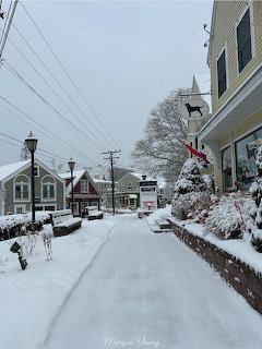 Snow-covered street in Kennebunkport, Maine with shops, lamp posts, and bare trees in winter