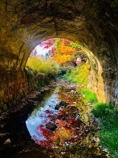 Stone tunnel opening to autumn trees with colorful leaves reflected in water below