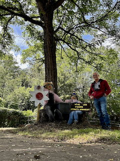People Resting Under Tree