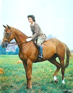 Queen Elizabeth II riding a brown horse outdoors in equestrian clothing