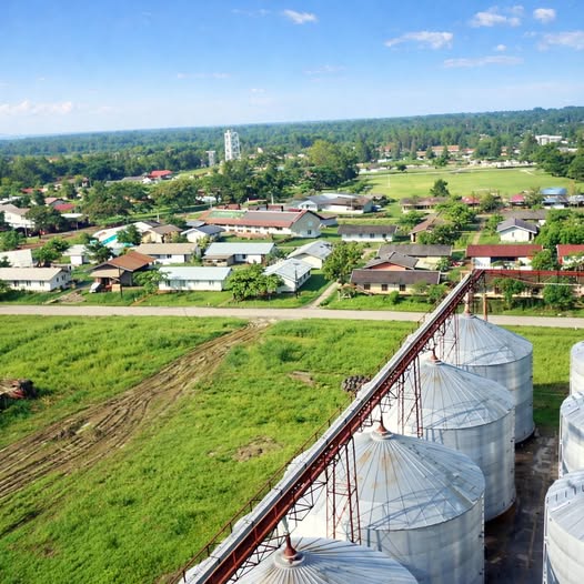 Aerial view of a small town with green fields, houses, and metal silos under a blue sky