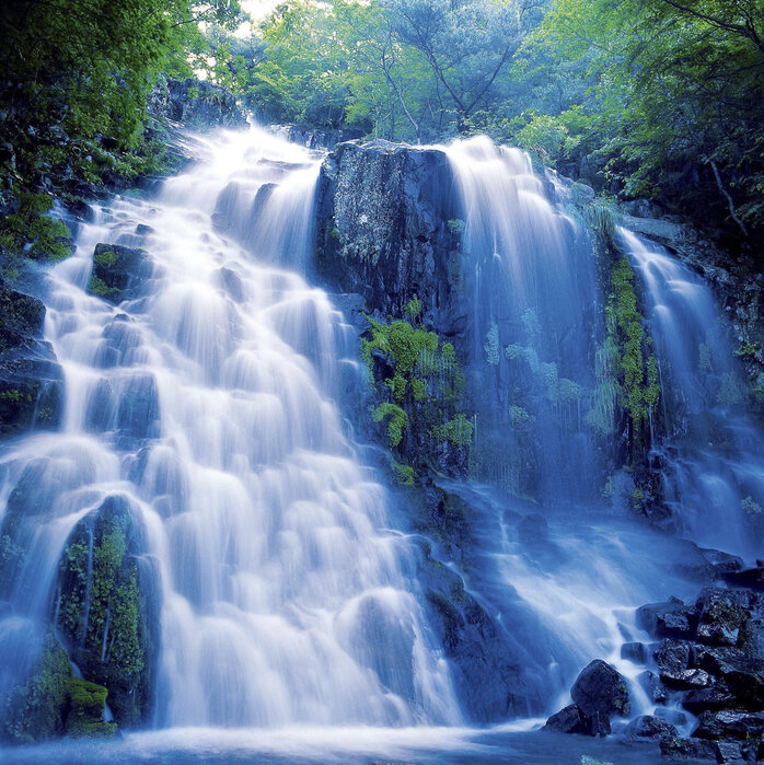 Multi-tiered waterfall flowing over moss-covered rocks in lush green forest