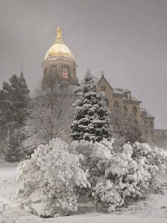Snow-covered trees in front of Notre Dame's Golden Dome building on a winter evening