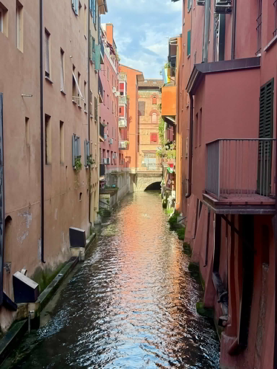 Bologna Canal Street