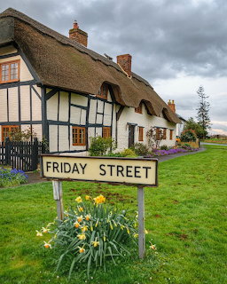 Thatched cottage with timber frame beside Friday Street sign and yellow flowers