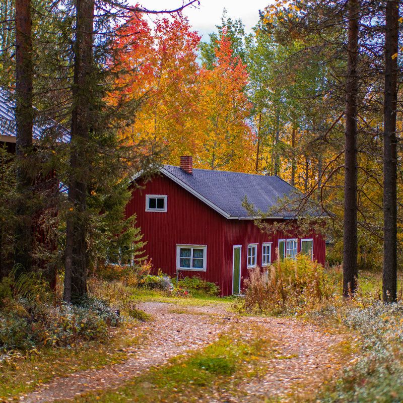 Red Cottage in Autumn Forest