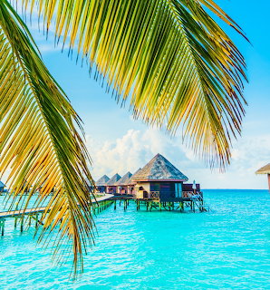Overwater bungalows in Maldives with palm fronds and turquoise water