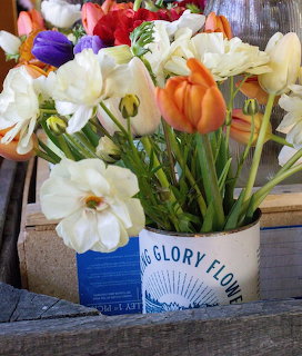 Bouquet of spring flowers including tulips and daffodils in a vintage white tin container