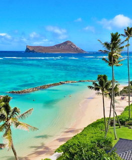 Hawaiian Tropical Beach