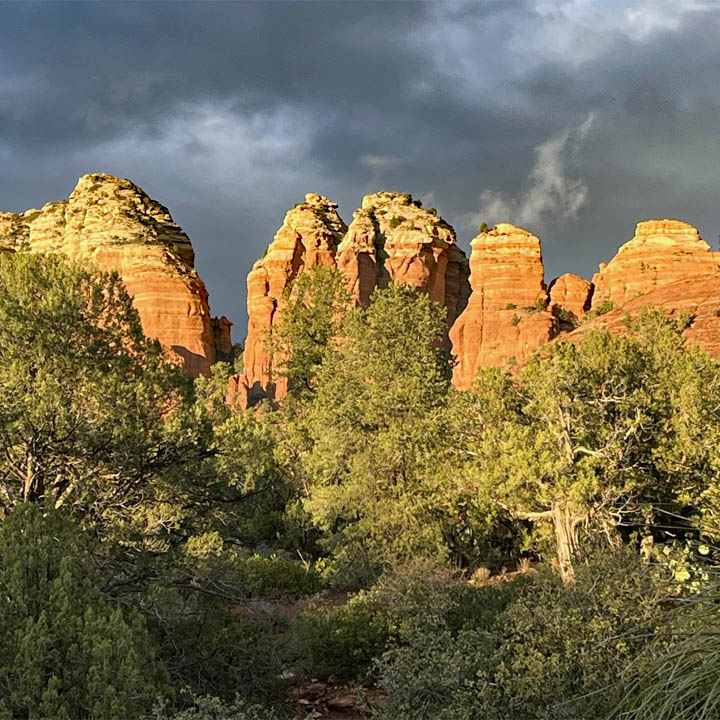 Red rock formations behind desert trees under dark storm clouds