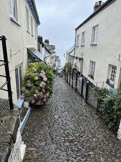 Steep cobblestone lane lined with white cottages and pink hydrangeas leading downhill to sea view