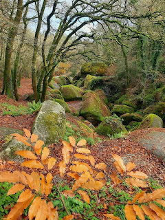 Huelgoat Forest Bretagne