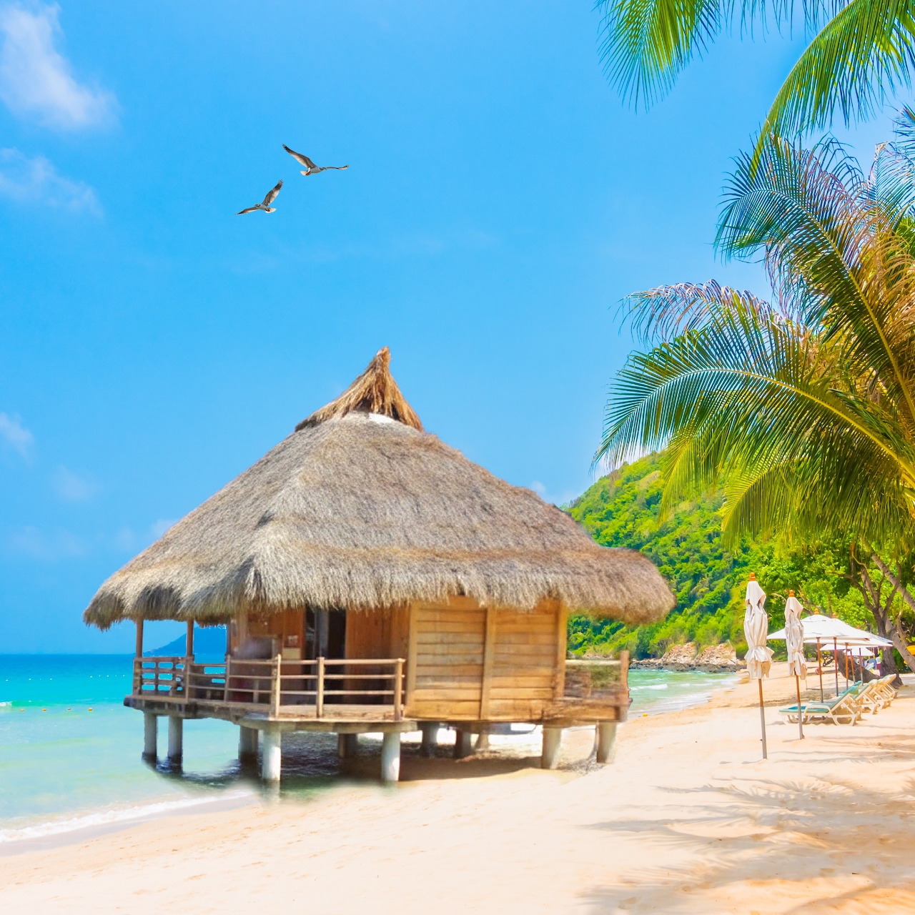 Tropical Beach Hut