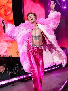 Harry Styles Concert Performance