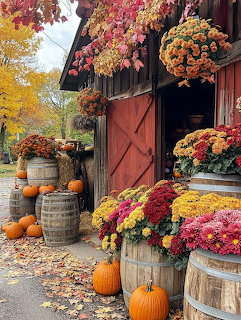 Colorful fall mums in wooden barrels and orange pumpkins displayed outside a rustic red barn