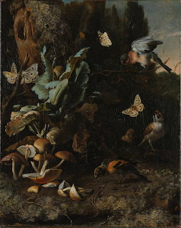 Forest Floor Still Life