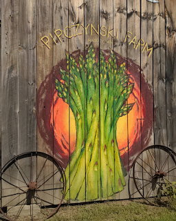 Pipczynski Farm Barn Art