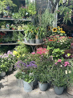 Outdoor flower shop with potted blooming plants in various colors on tiered shelves