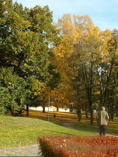 Person walking in an autumn park with golden and green trees and trimed hedges