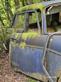 Abandoned Vintage Car Door