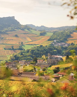 Village surrounded by vineyards and rolling hills in warm sunlight