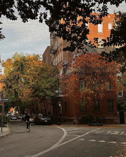 Autumn street scene with brick buildings, trees with fall foliage, and parked cars on a curved residential road