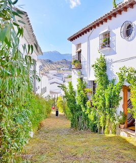 Narrow cobled street lined with white houses and green plants in a Spanish hillside village