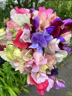 Sweet Peas Bouquet