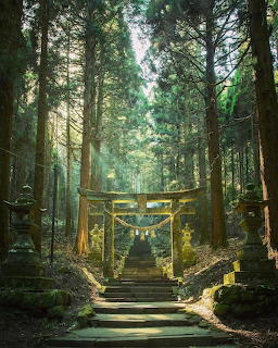 Golden torii gate at the entrance of a stone stairway leading through a sunlit forest in Japan