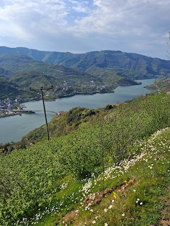 Mountain Lake Coastal View