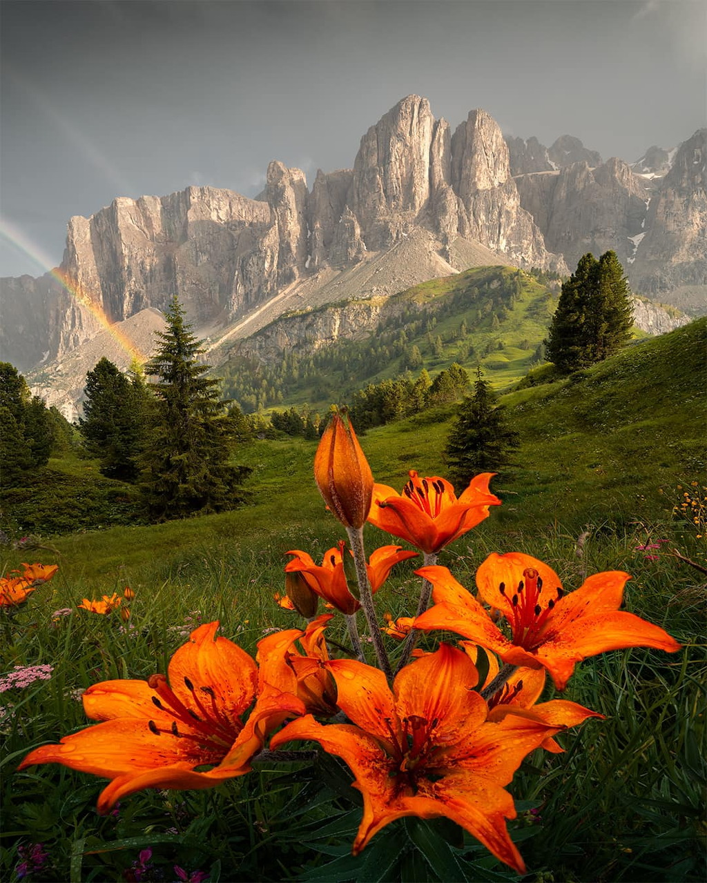 Dolomites Mountain Landscape