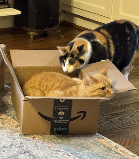Orange tabby cat sitting in a cardboard box while a calico cat leans over to sniff it