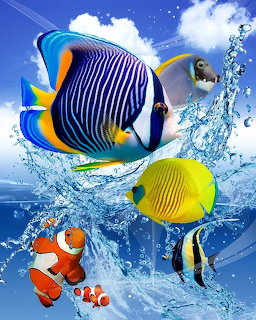 Colorful tropical fish with splashing water in a bright blue ocean scene