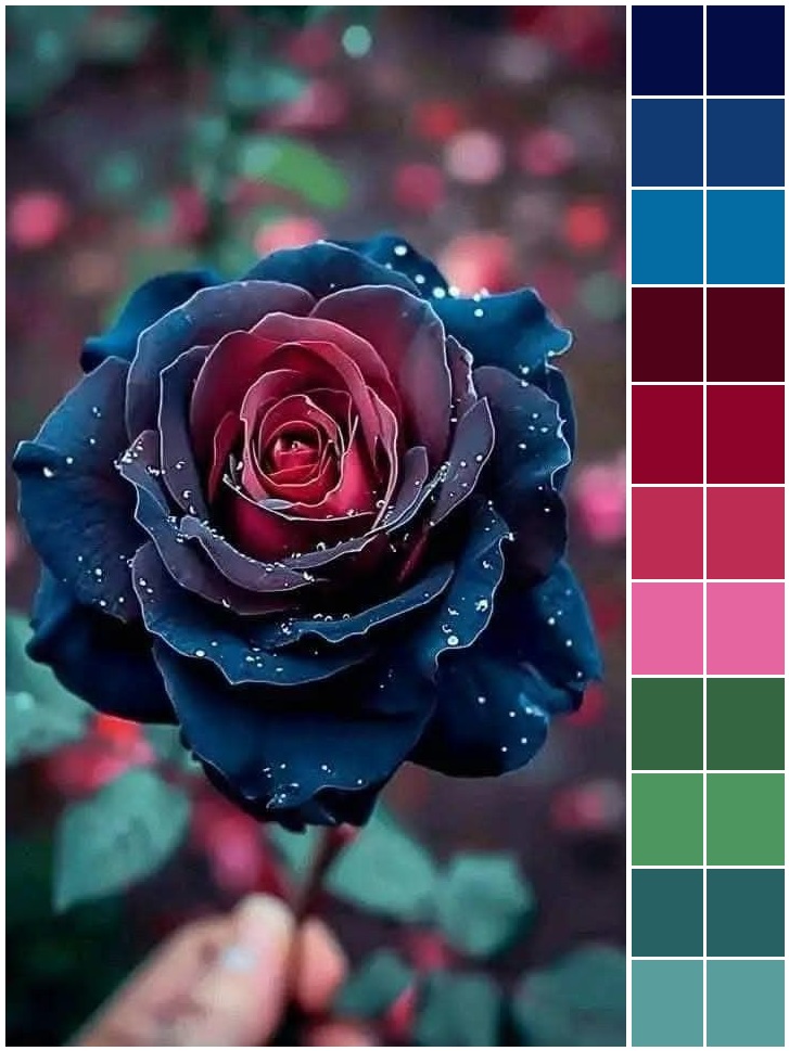 Color Palette Swatches