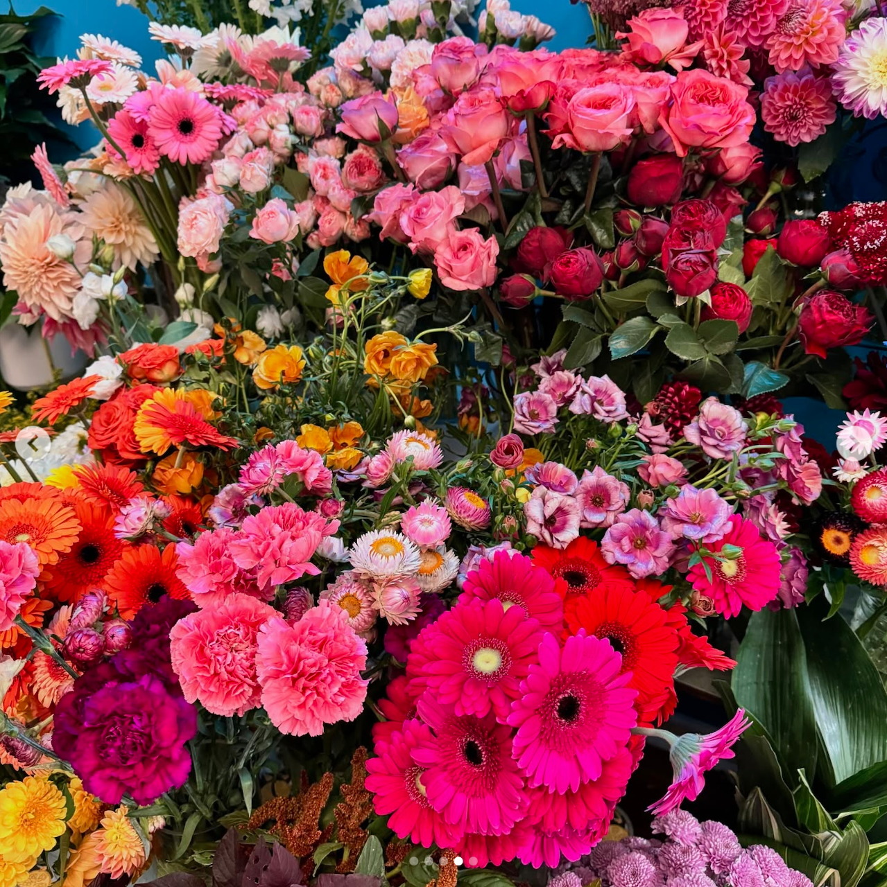 Colorful assortment of fresh flower bouquets with pink gerberas, roses, dahlias, and carnations