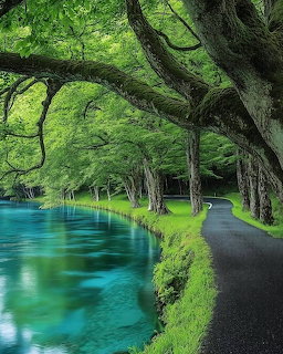 Paved path next to bright blue-green canal under arching tree branches with vivid green foliage