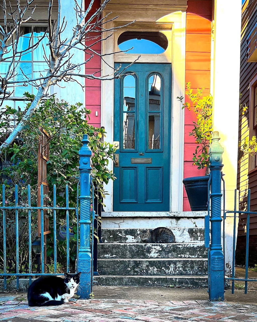 Two cats sitting on stone steps in front of colorful house entrance with turquoise door and iron fence