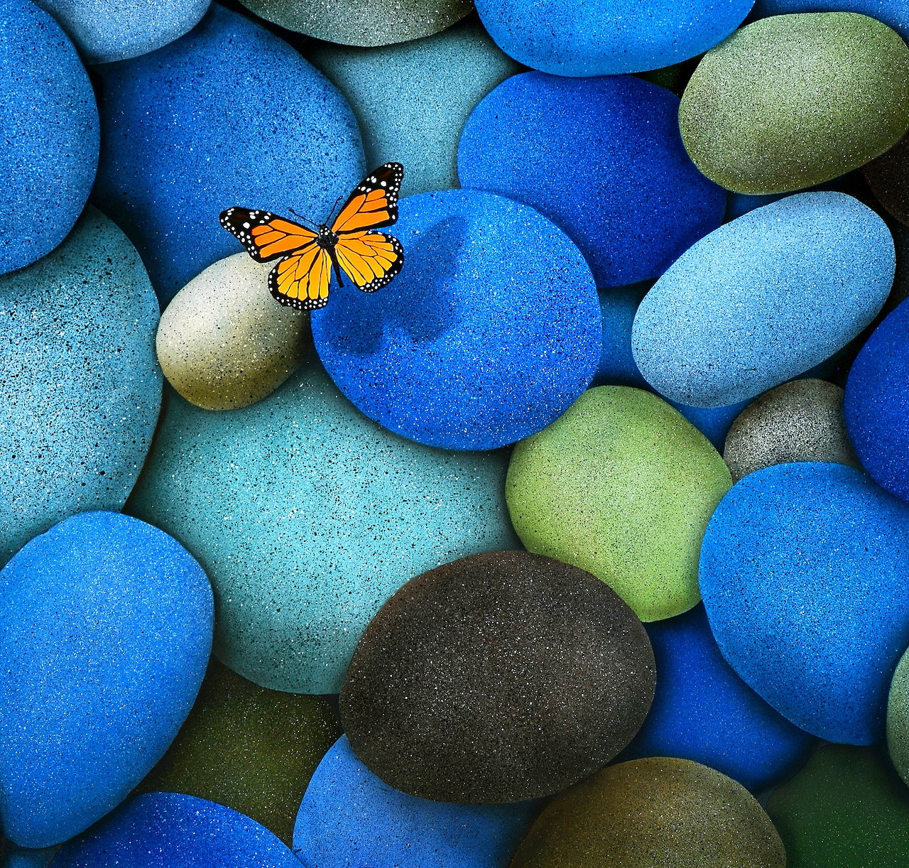 Orange butterfly on collection of blue, teal, and gray smooth stones
