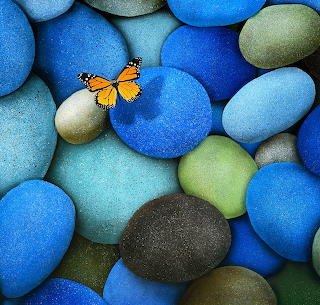 Butterfly on Blue Stones