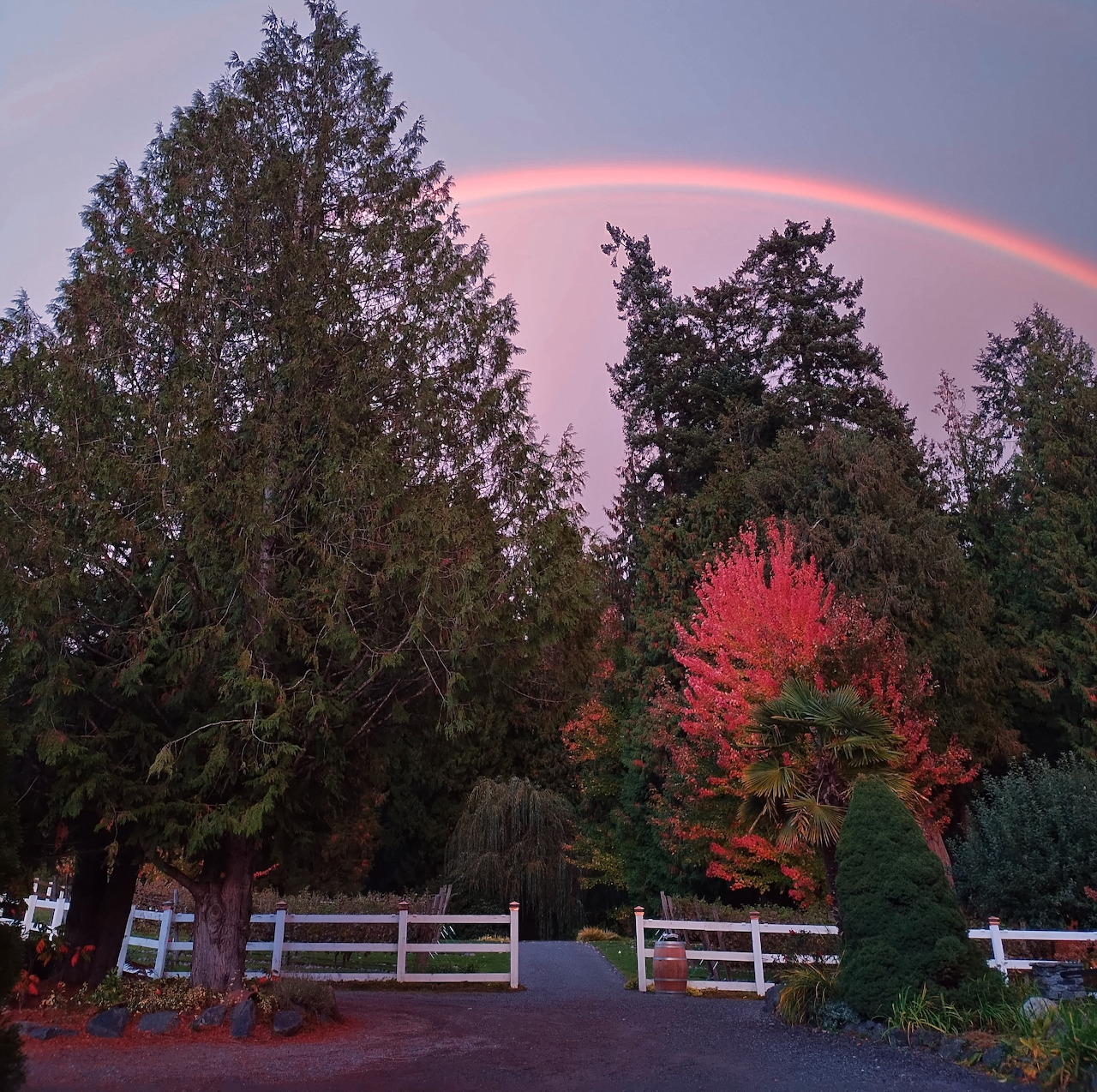 Evening Rainbow