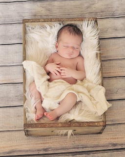 Sleeping Newborn Baby Portrait