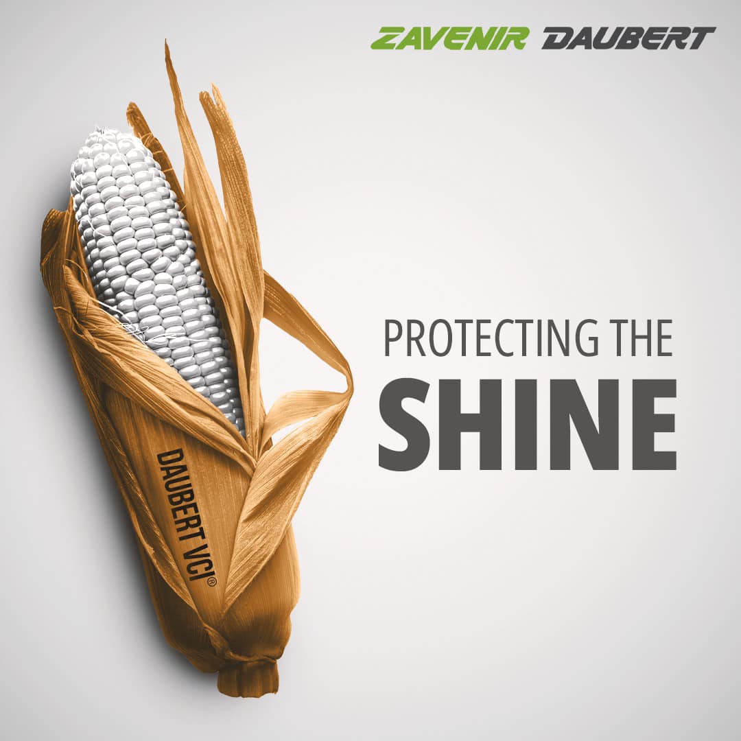 Stylized ear of corn with white kernels and a metallic gold husk on a light background