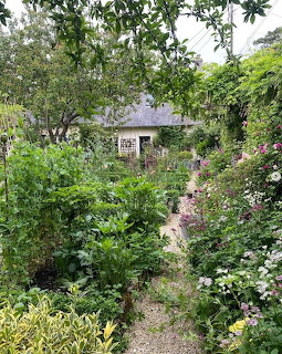 Narrow garden path leading through dense green plants and flowers toward a small cottage