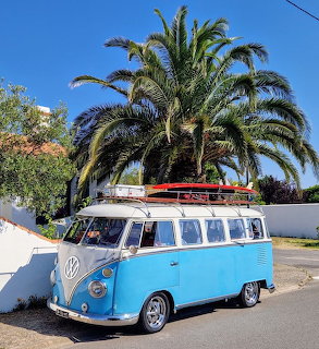 Blue VW bus with surfboard parked under palm tree
