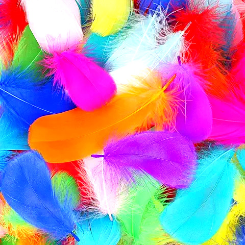 Pile of brightly colored feathers in pink, orange, blue, purple and yellow