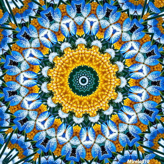 Blue Butterfly Mandala