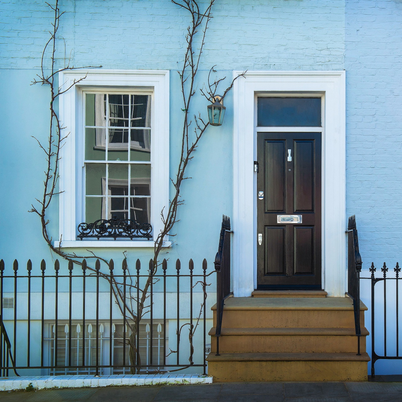Blue townhouse exterior with brown door, steps, iron fence, and window with climbing vines