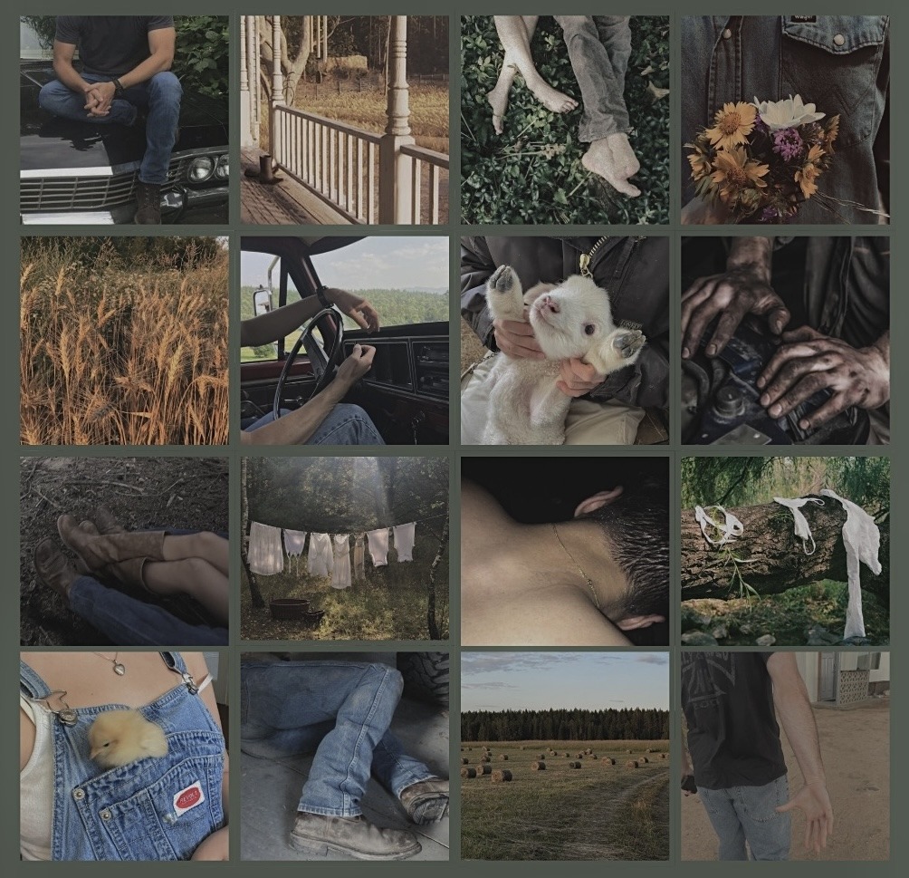 Dark 4x4 collage of moody photos with a rabbit, hands, clothing, plants, and outdoor scenes