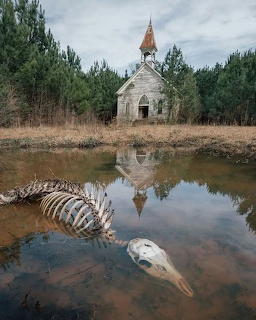 Abandoned white church behind a pond with animal skeleton partially submerged in the water